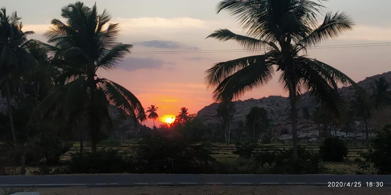 Island Vibes Hampi Guesthouse エクステリア 写真