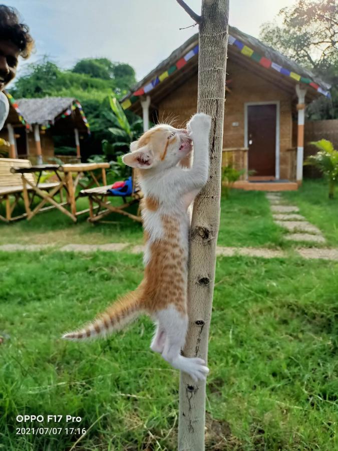 Island Vibes Hampi Guesthouse エクステリア 写真